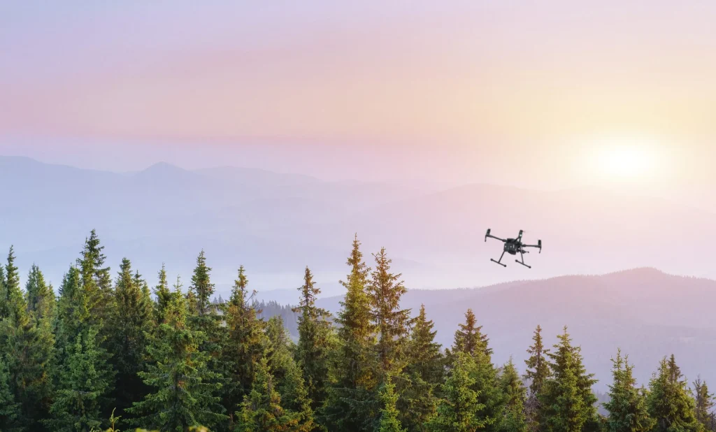 Dron sobrevolando una Zona Especial de Protección para las Aves