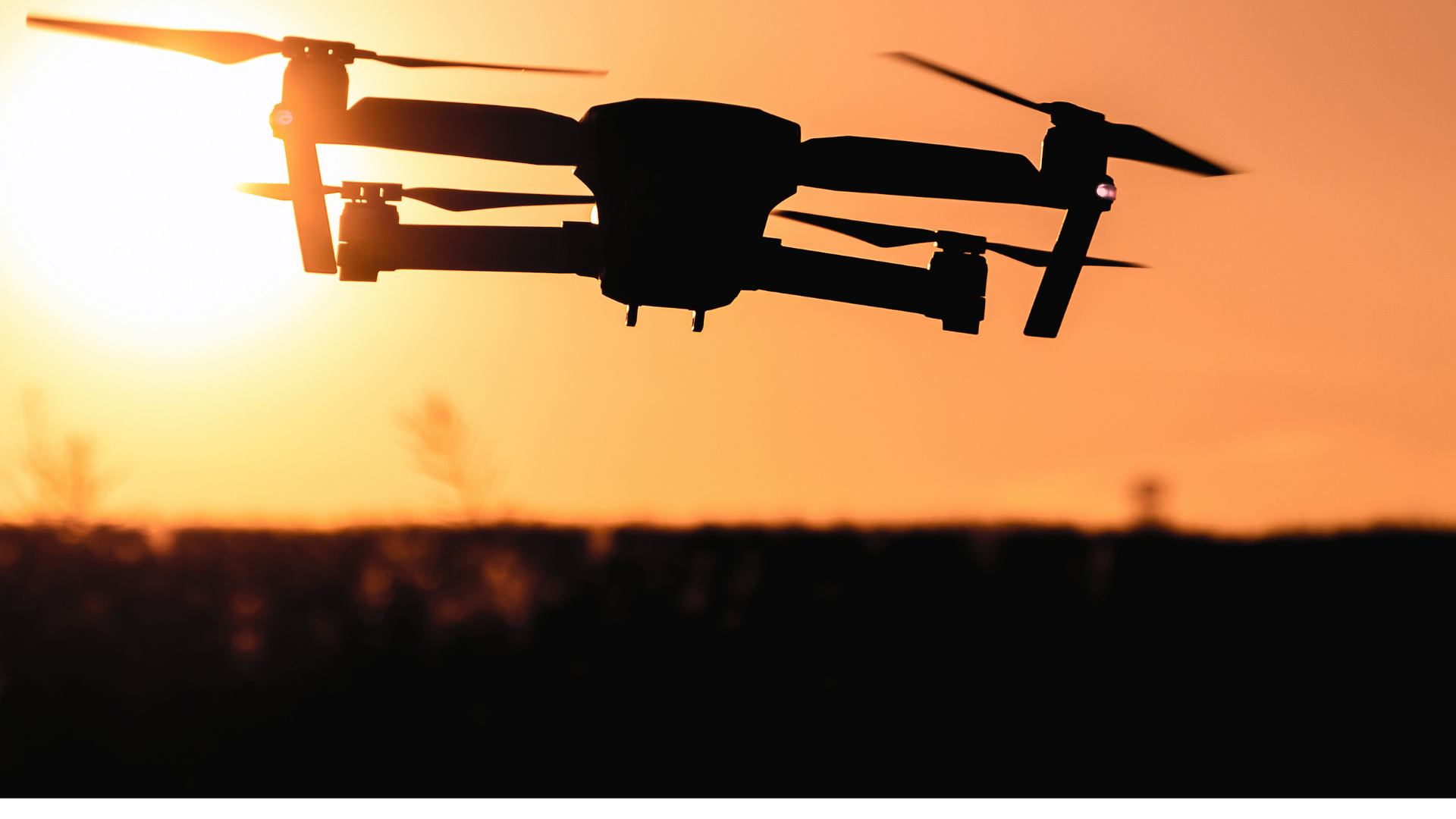 Revolucionando el Recuento de Animales Salvajes con Drones: Métodos, Desafíos y Soluciones