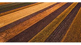 AGRICULTURA drones