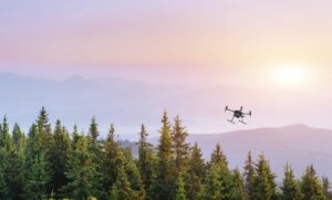 Drones for forestry use: everything you need to know