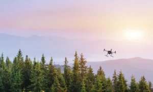 Drones para uso forestal: todo lo que debes saber