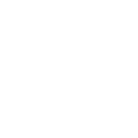 Inspecciones técnicas